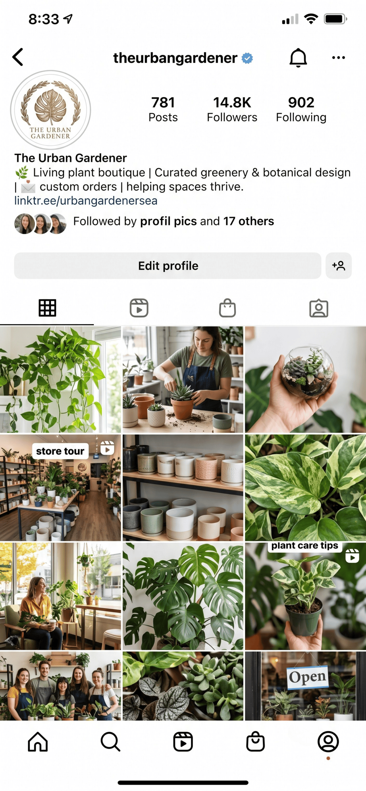Social media content feed